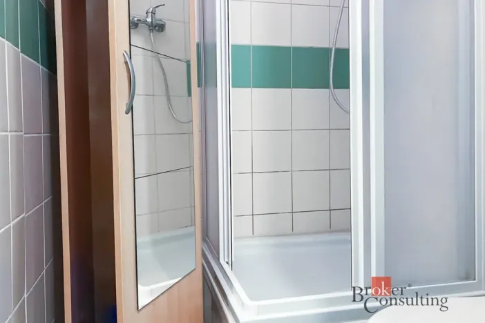 Prodej bytu 4+1, Brno - Zábrdovice, Cejl, 53 m2