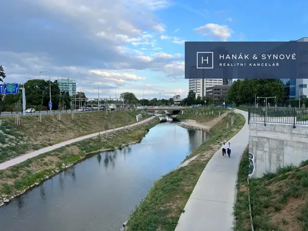 Pronájem bytu 2+1, Brno, Náplavka, 58 m2