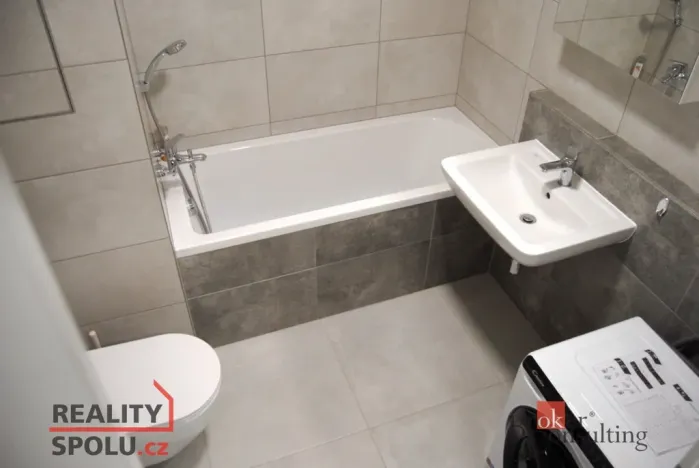 Prodej bytu 1+kk, Plzeň - Jižní Předměstí, Goldscheiderova, 39 m2