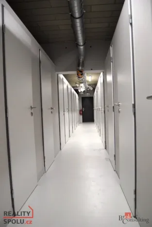 Prodej bytu 1+kk, Plzeň - Jižní Předměstí, Goldscheiderova, 39 m2