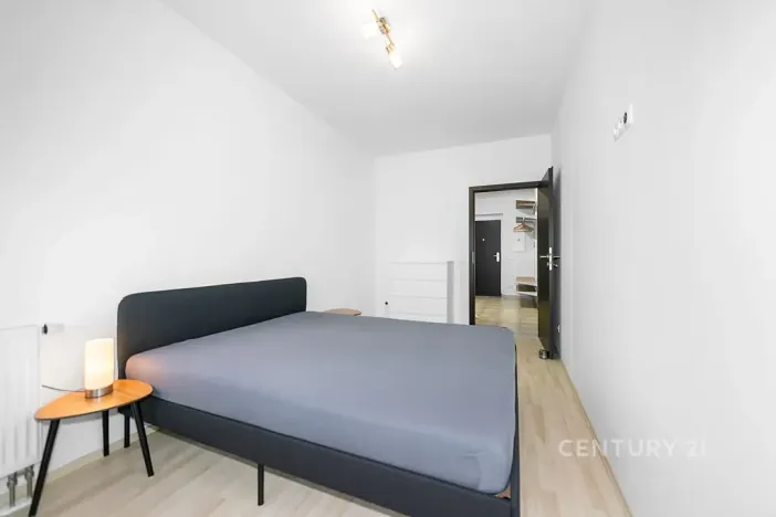 Pronájem bytu 2+kk, Plzeň, U Velkého rybníka, 60 m2