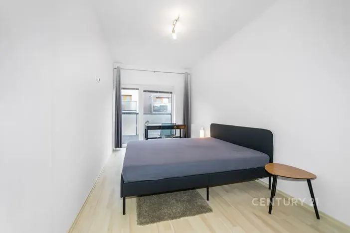 Pronájem bytu 2+kk, Plzeň, U Velkého rybníka, 60 m2