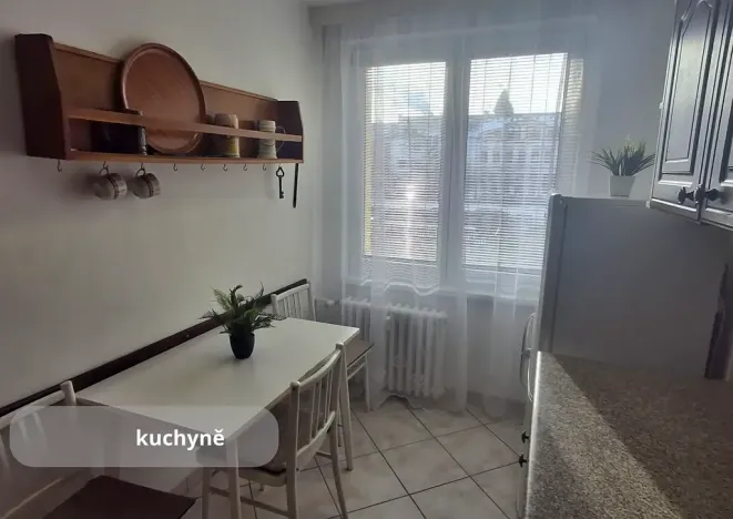 Prodej bytu 2+1, České Budějovice, J. Š. Baara, 61 m2