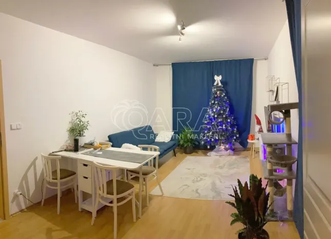 Pronájem bytu 2+kk, Praha, V dolině, 50 m2