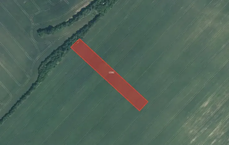 Prodej podílu pole, Mutěnice, 2000 m2