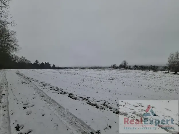 Prodej pole, Nový Rychnov, 73681 m2