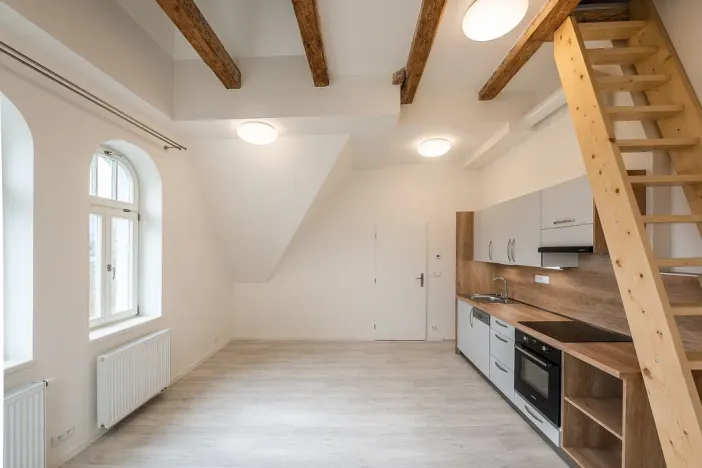 Pronájem bytu 1+kk, Liberec - Liberec III-Jeřáb, Americká, 53 m2