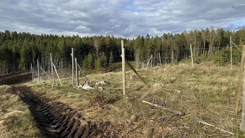 Prodej lesa, Pecka, 35108 m2