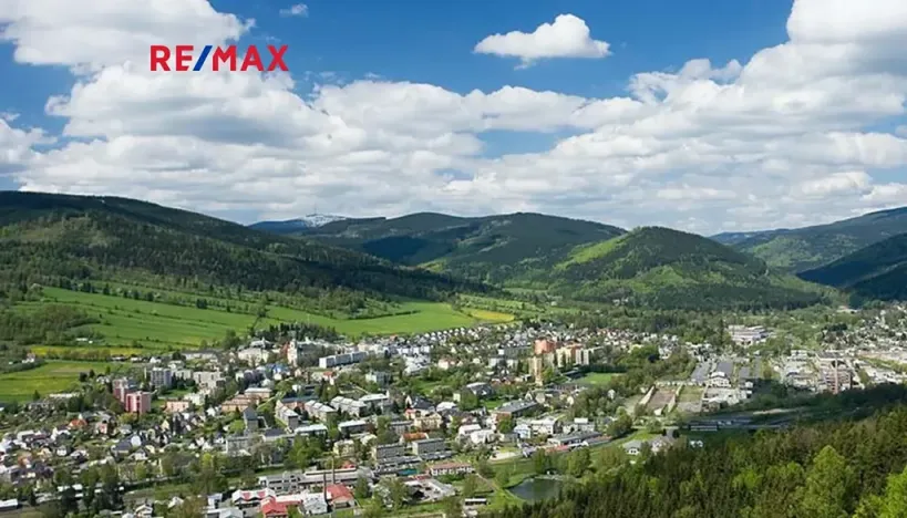 Prodej bytu 1+kk, Vrbno pod Pradědem, Žižkova, 40 m2