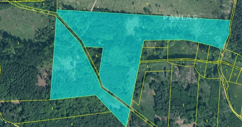 Prodej lesa, Branice, 82524 m2