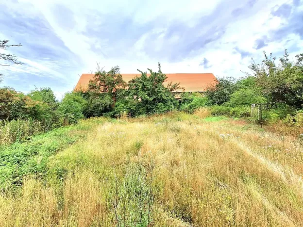 Prodej zemědělské usedlosti, Kolešov, 500 m2