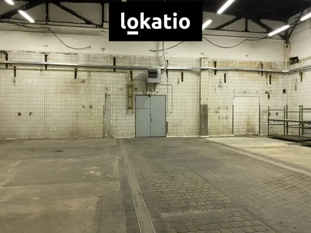 Pronájem skladu, Chomutov, 1864 m2