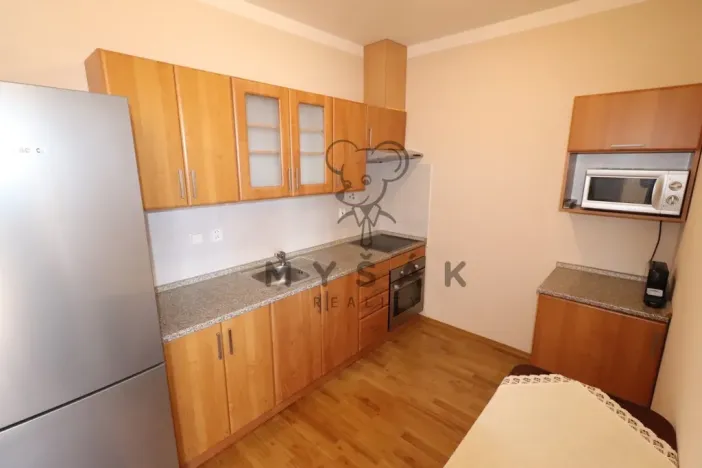 Pronájem bytu 2+kk, České Budějovice - České Budějovice 3, U Trojice, 54 m2