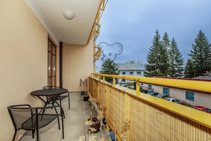 Pronájem bytu 2+kk, České Budějovice - České Budějovice 3, U Trojice, 54 m2