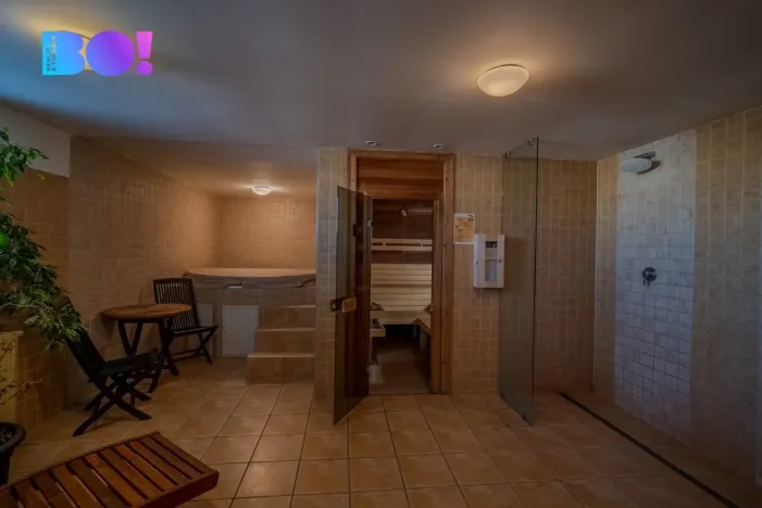 Prodej bytu 2+kk, Brno, Palackého třída, 50 m2