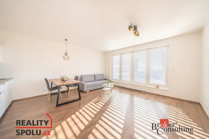 Pronájem bytu 1+kk, Plzeň, 39 m2