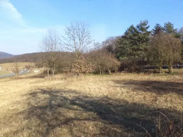 Dražba louky, Řehlovice, 2962 m2