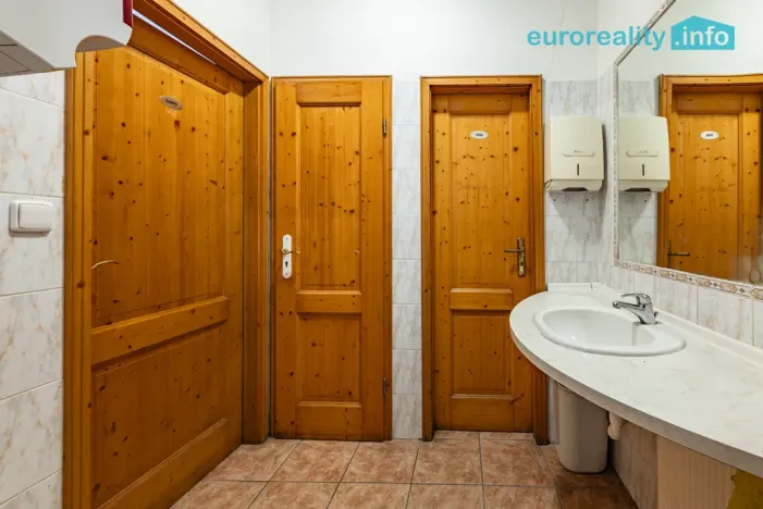 Prodej rodinného domu, Velká Hleďsebe, Havlíčkova, 229 m2