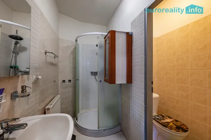 Prodej rodinného domu, Velká Hleďsebe, Havlíčkova, 229 m2