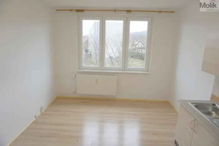 Pronájem bytu 1+1, Chomutov, Matěje Kopeckého, 36 m2