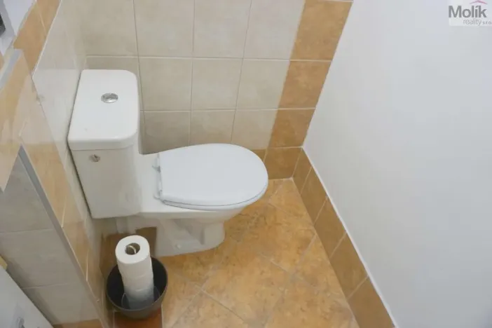 Pronájem bytu 1+1, Chomutov, Matěje Kopeckého, 36 m2