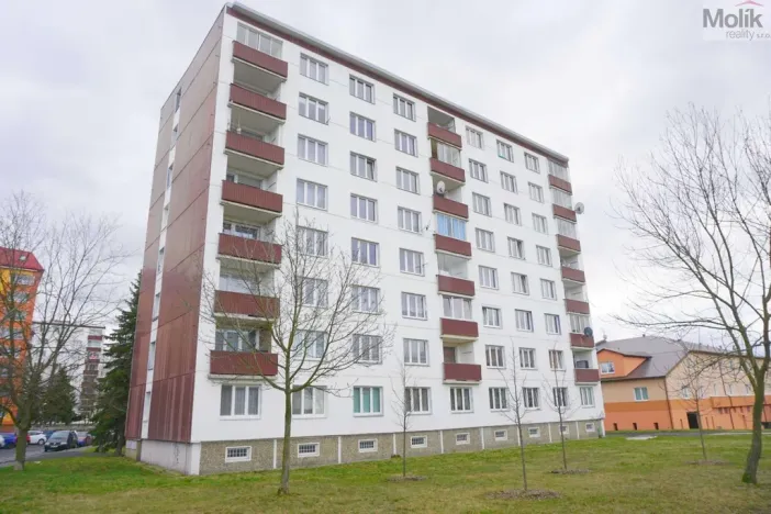 Pronájem bytu 1+1, Chomutov, Matěje Kopeckého, 36 m2