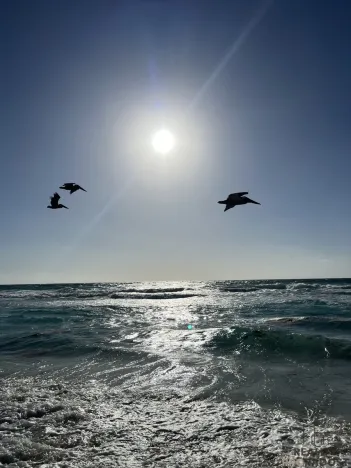 Prodej bytu 2+kk, Alba Adriatica,Itálie, 42 m2