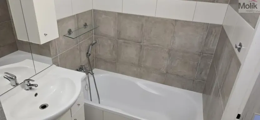 Pronájem bytu 1+1, Most, Višňová, 34 m2