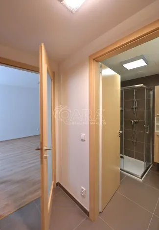 Pronájem bytu 2+kk, Praha - Žižkov, Hartigova, 39 m2