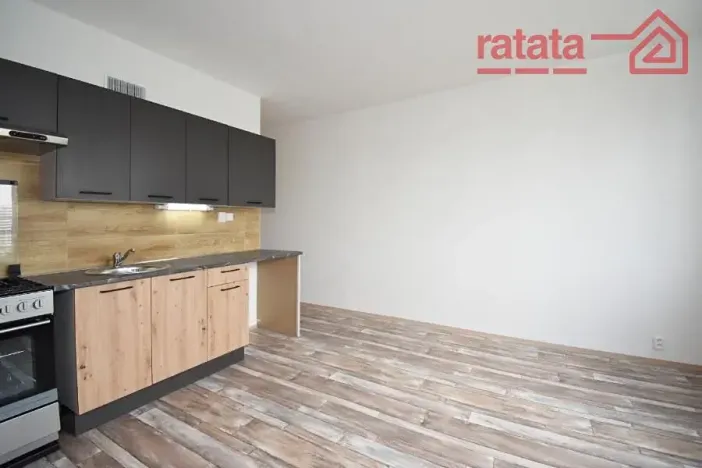 Pronájem bytu 1+1, Chomutov, Dřínovská, 35 m2