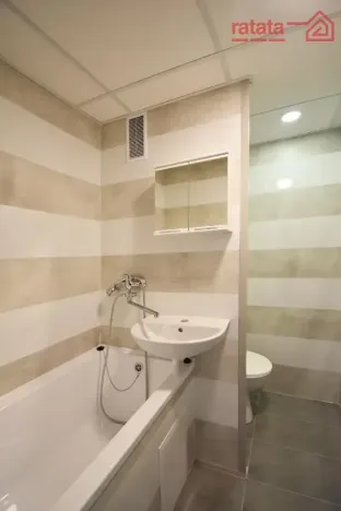 Pronájem bytu 1+1, Chomutov, Dřínovská, 35 m2