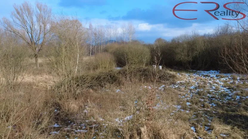 Prodej pozemku pro bydlení, Jestřebí, 1316 m2