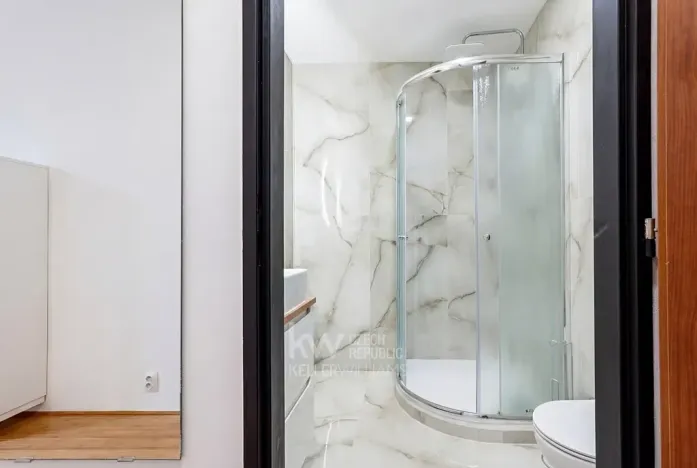 Pronájem bytu 2+kk, Praha - Žižkov, Žerotínova, 52 m2