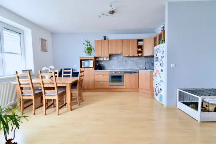 Pronájem bytu 4+kk, Brno - Bystrc, Říčanská, 95 m2