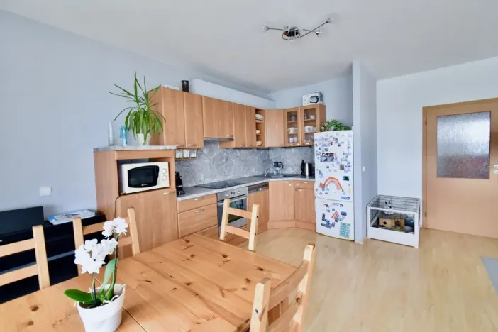 Pronájem bytu 4+kk, Brno - Bystrc, Říčanská, 95 m2