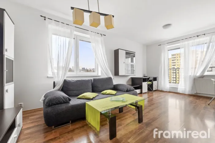 Pronájem bytu 1+kk, Brno, Čeňka Růžičky, 42 m2