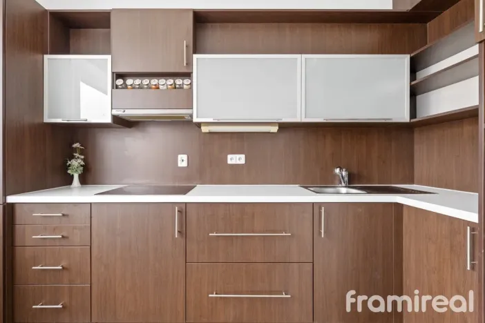 Pronájem bytu 1+kk, Brno, Čeňka Růžičky, 42 m2