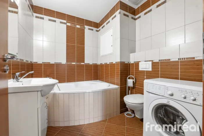 Pronájem bytu 1+kk, Brno, Čeňka Růžičky, 42 m2