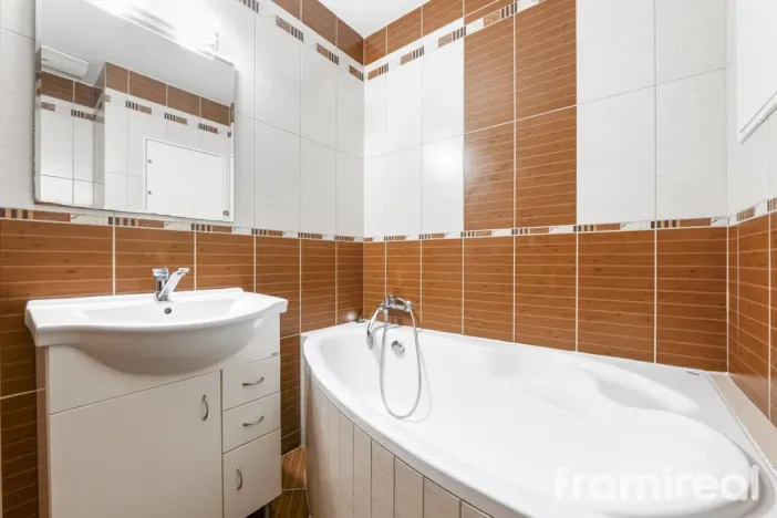 Pronájem bytu 1+kk, Brno, Čeňka Růžičky, 42 m2