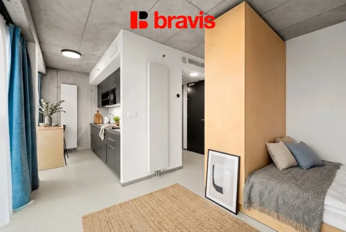 Pronájem bytu 1+kk, Brno - Trnitá, Dornych, 27 m2