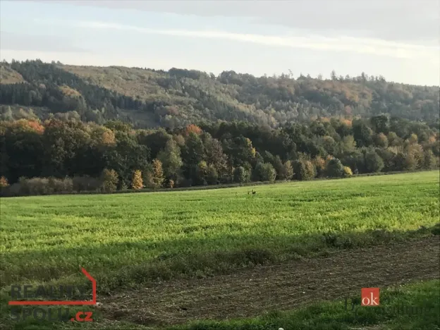 Prodej pozemku pro bydlení, Čavisov, 689 m2