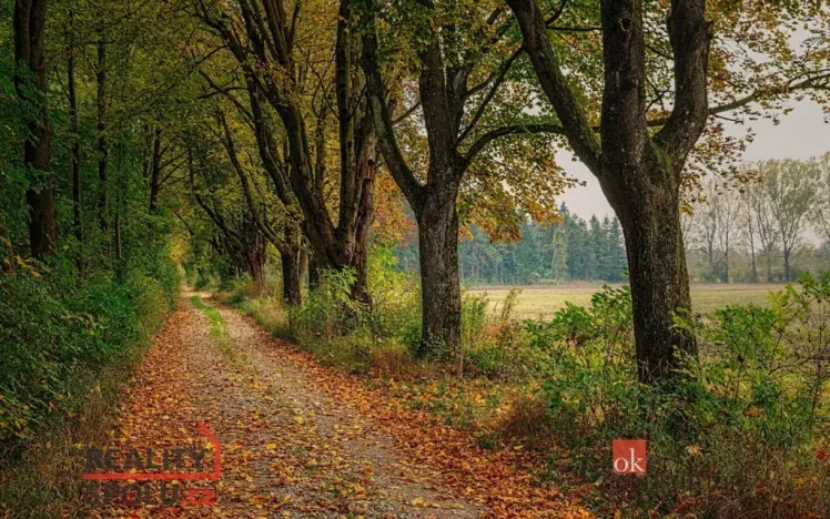 Prodej pozemku pro bydlení, Čavisov, 689 m2