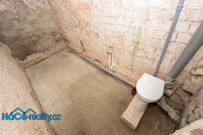 Prodej rodinného domu, Žďár nad Orlicí, 172 m2