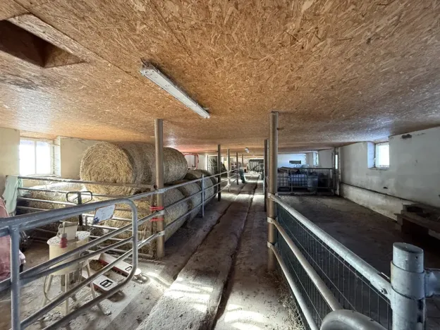 Prodej rodinného domu, Frymburk, 1140 m2