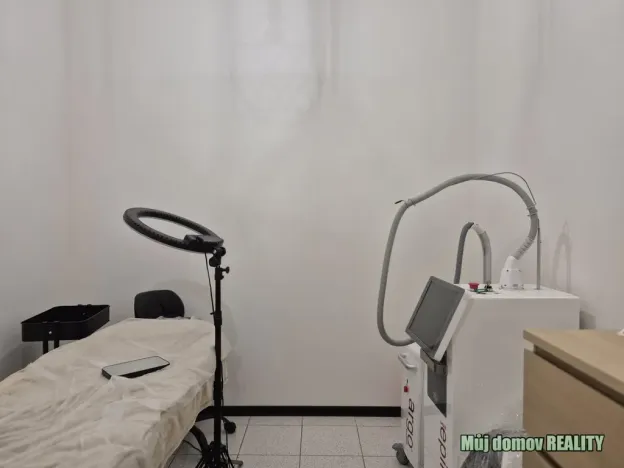 Pronájem komerční nemovitosti, Praha - Vysočany, bratří Dohalských, 233 m2