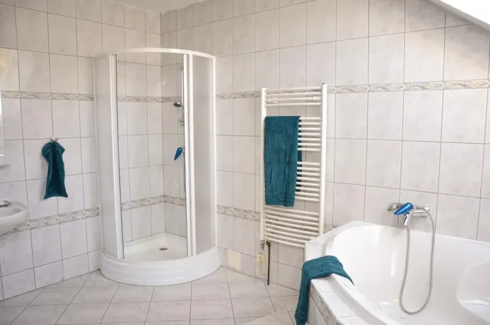 Prodej vícegeneračního domu, Olšany, 392 m2