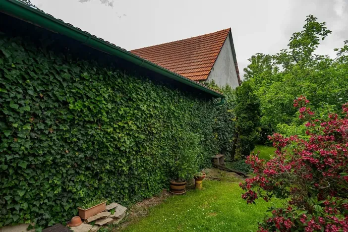 Prodej zemědělské usedlosti, Nová Sídla, 327 m2