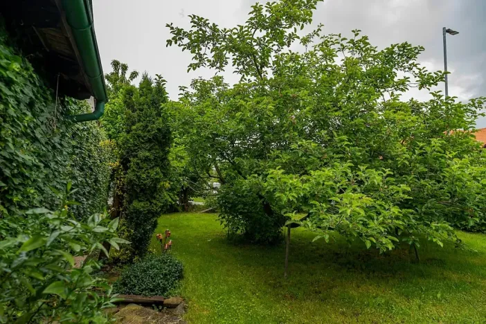 Prodej zemědělské usedlosti, Nová Sídla, 327 m2