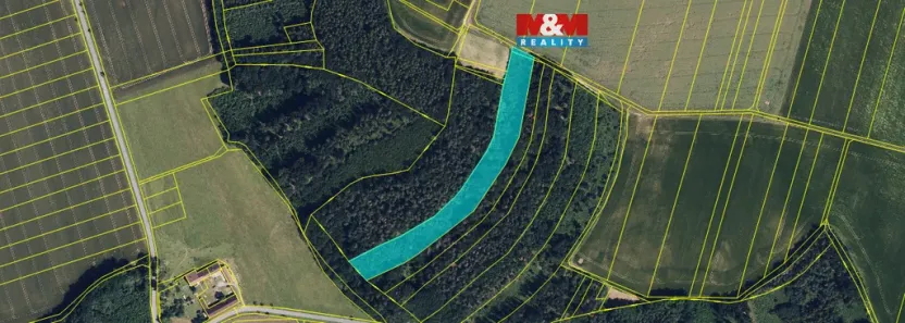 Prodej lesa, Olbramice, 12592 m2