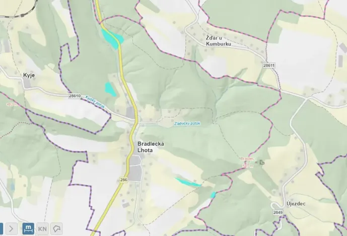 Prodej lesa, Bradlecká Lhota, 36126 m2